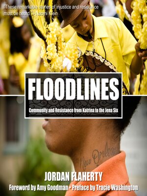 cover image of Floodlines